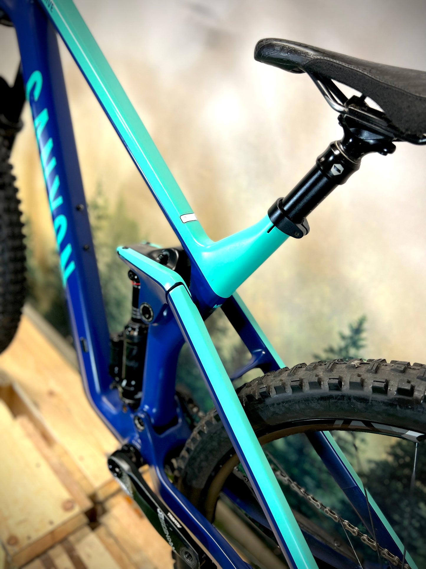 2019 CANYON STRIVE CF 6.0 RRP 3800 Supreme MTB