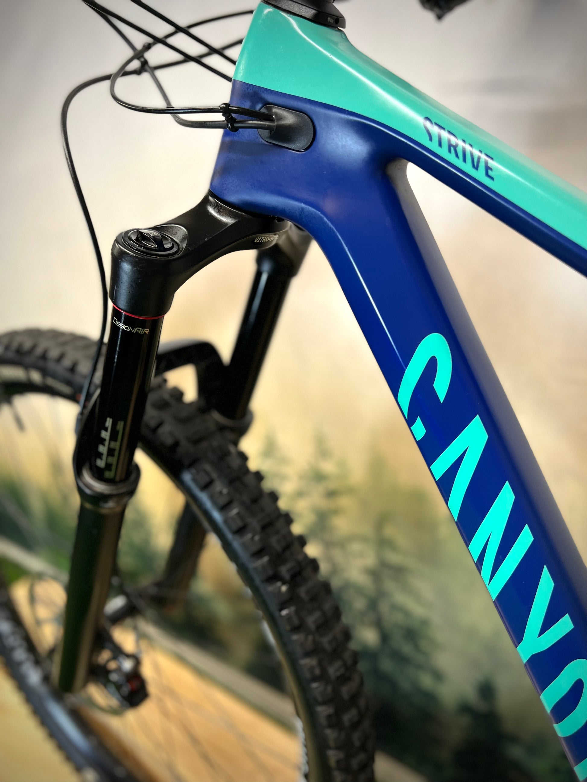 Canyon mtb hardtail 2024 2019