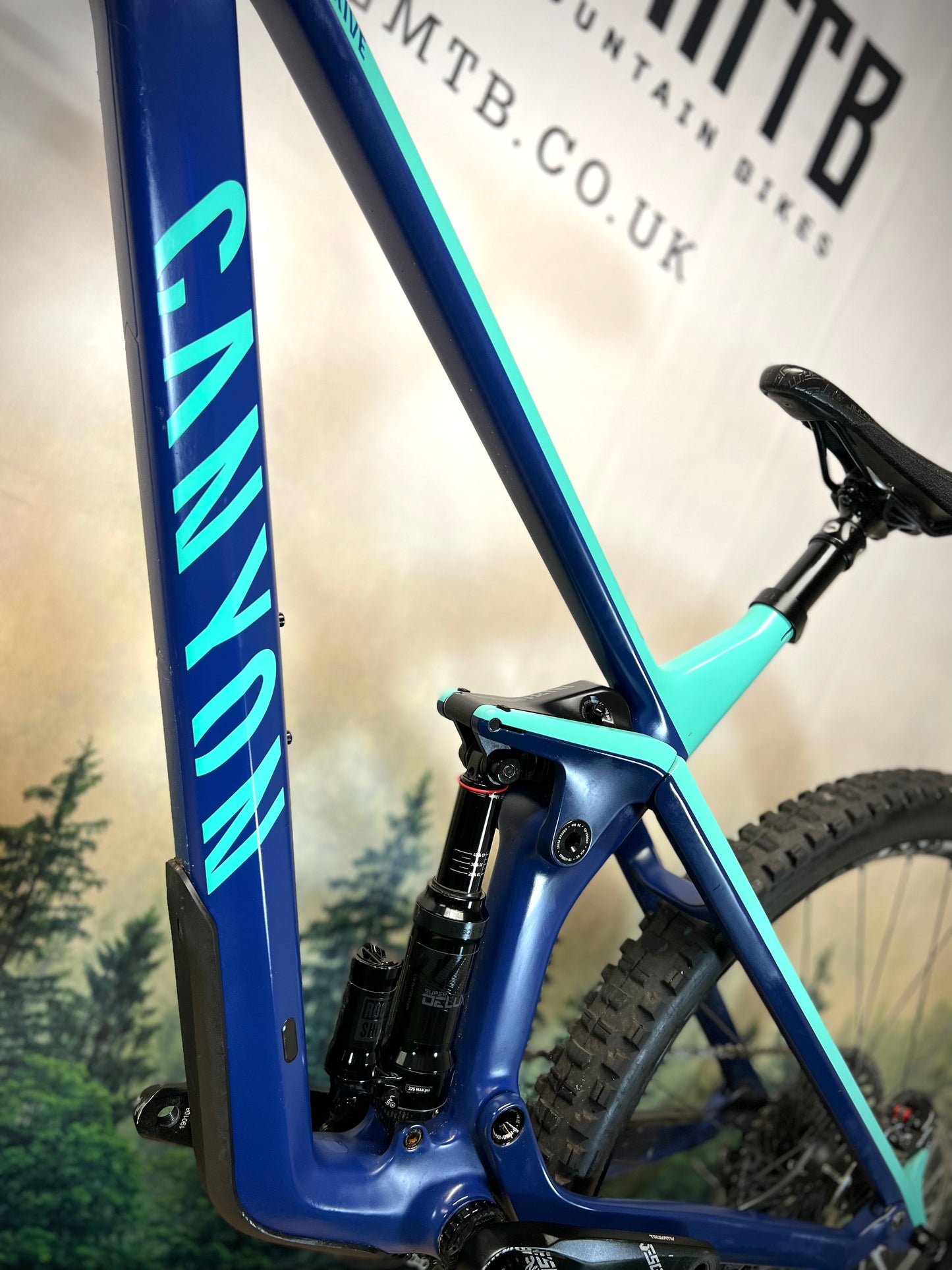 Canyon strive cf 6.0 top 2019