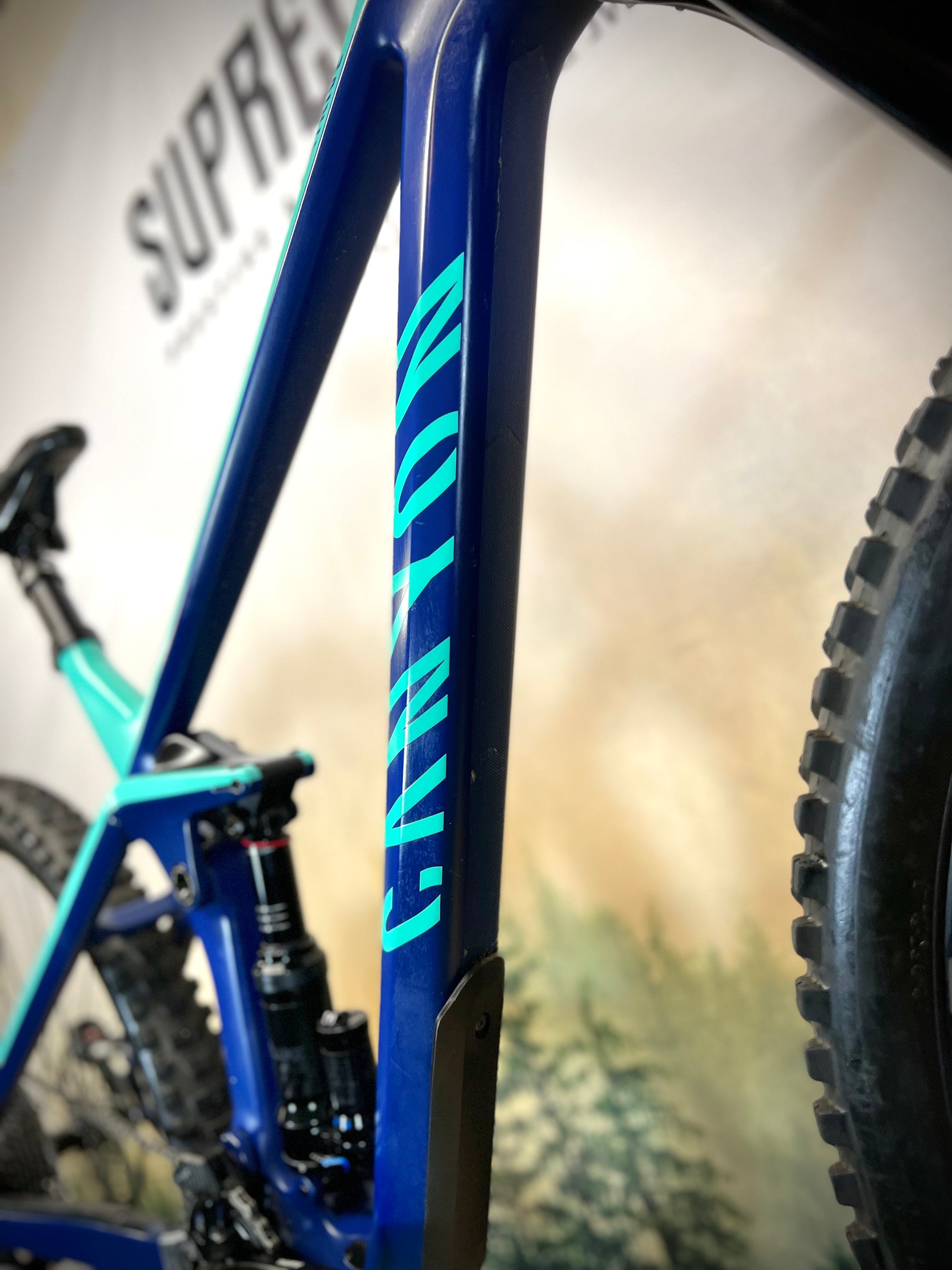 Canyon strive top 5.0 2019